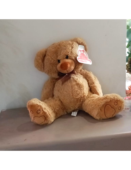Teddy
