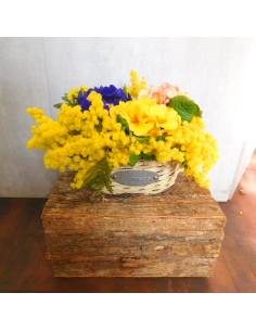 Primula e primavera 2