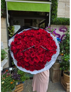 Dichiarazione d'Amore