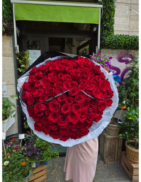 Dichiarazione d'Amore