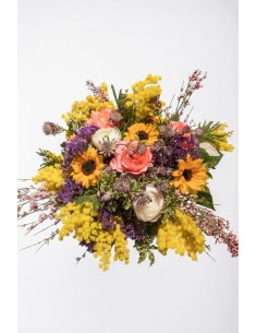 Mimosa per te
